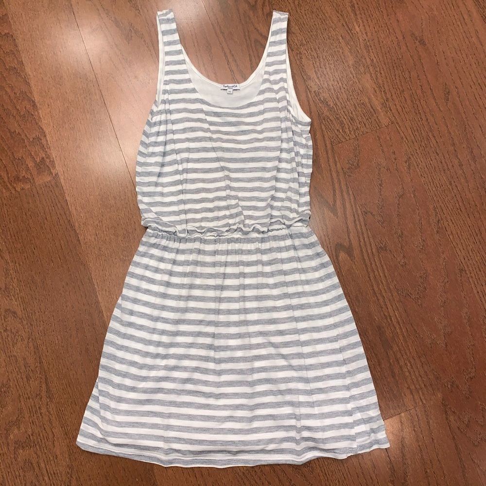 Splendid Tank Dress